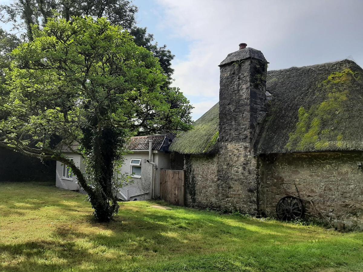 Quintessential, Secluded South Devon Cottage بلايموث المظهر الخارجي الصورة
