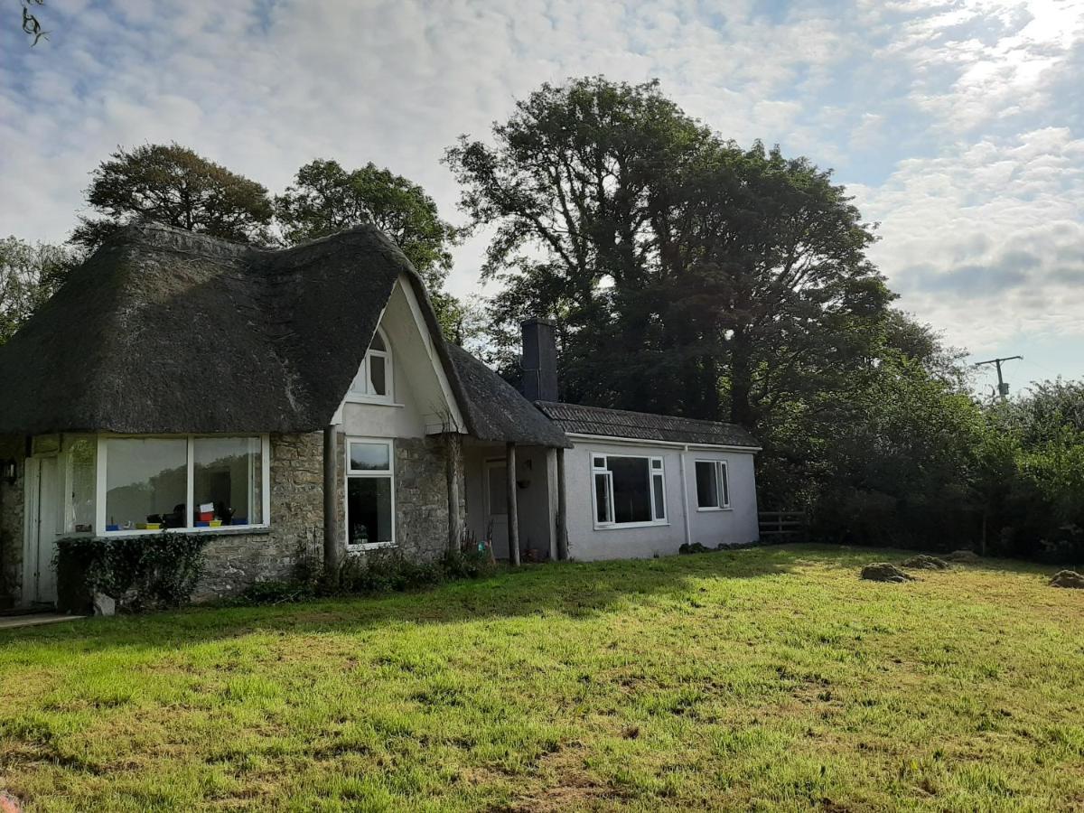 Quintessential, Secluded South Devon Cottage بلايموث المظهر الخارجي الصورة