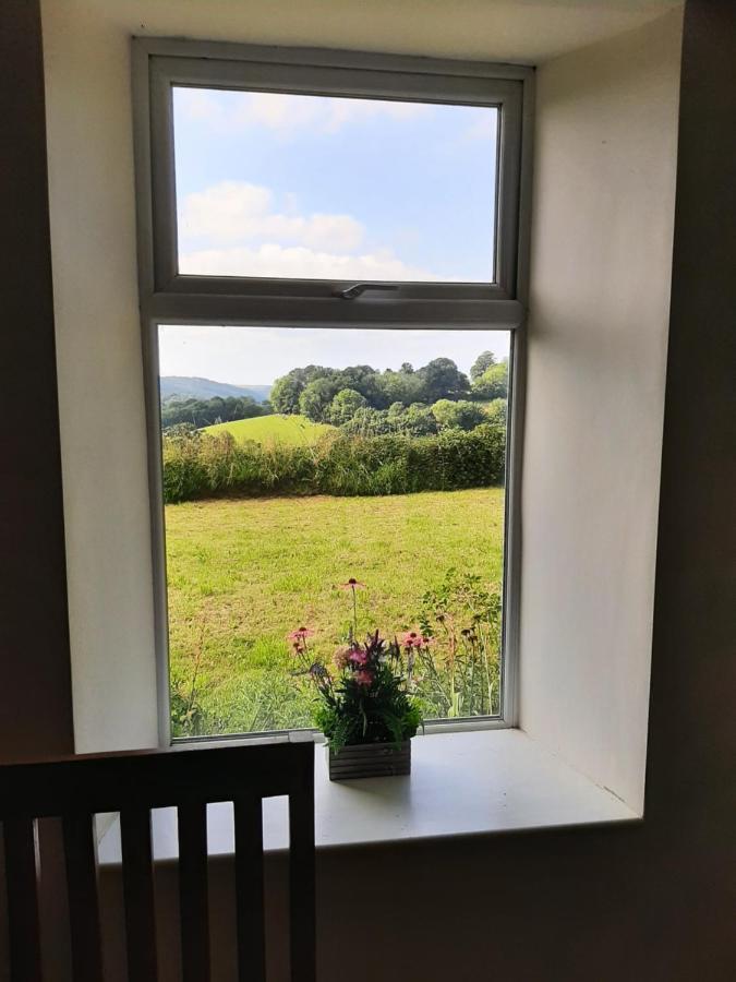 Quintessential, Secluded South Devon Cottage بلايموث المظهر الخارجي الصورة